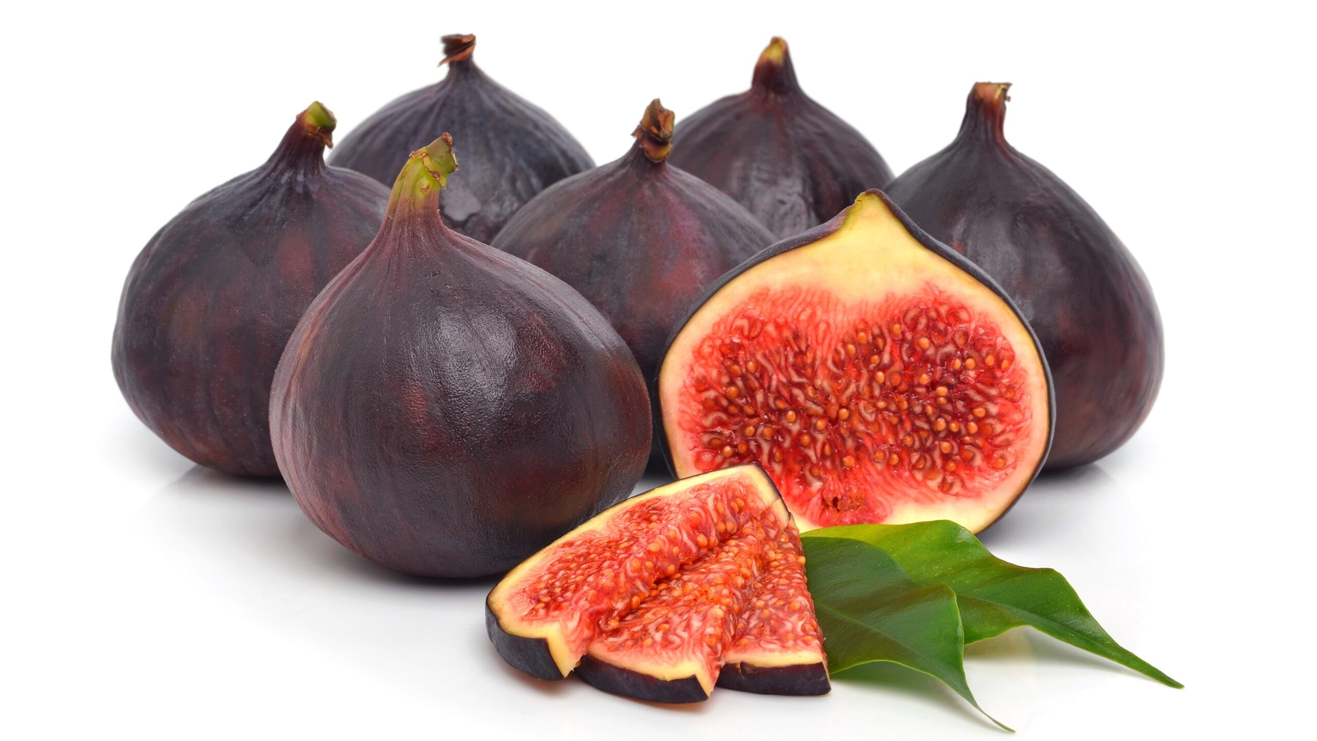Common_fig_Closeup_White_background_544566_3840x2160
