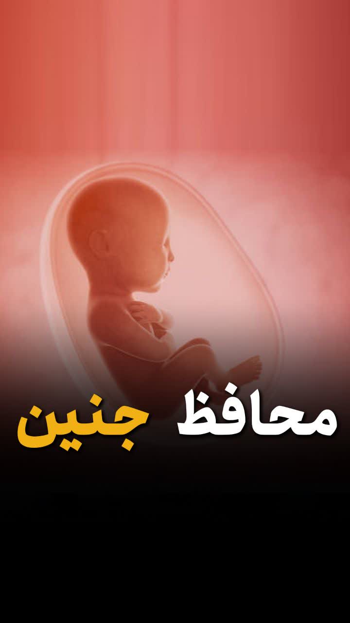 محافظ جنین