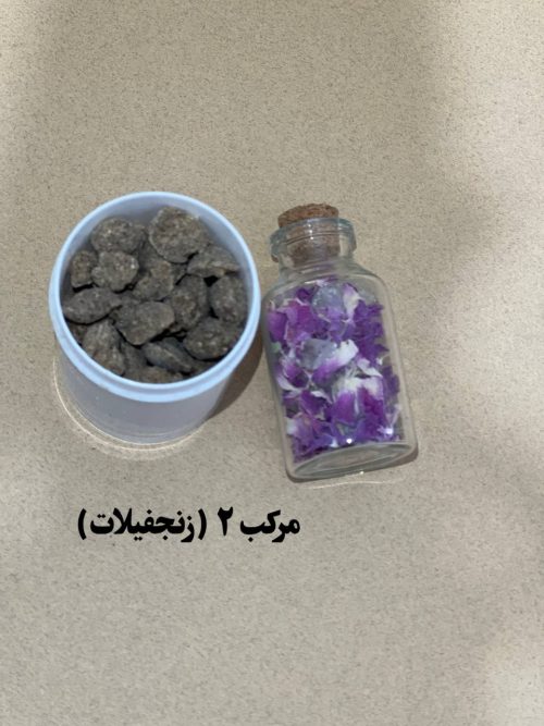 مرکب 2(زنجفیلات) - Image 1