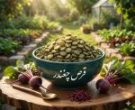 قرص چغندر