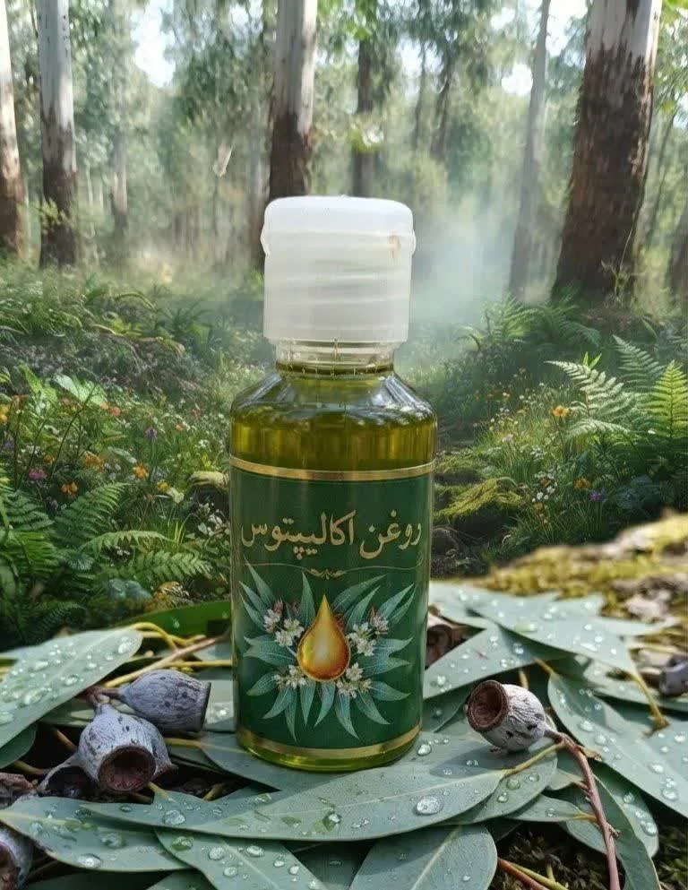 photo29786905759 روغن اکالیپتوس طیطه - تصویر 1